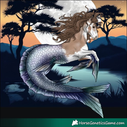 Horse Color:Black Pearl Splash