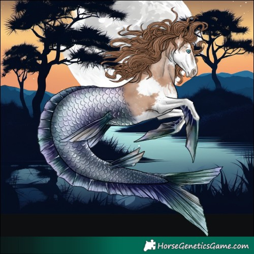 Horse Color:Black Pearl Splash 