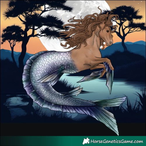 Horse Color:Black Pearl Blanket