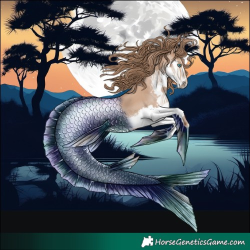 Horse Color:Black Pearl Splash