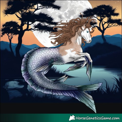Horse Color:Black Pearl Splash
