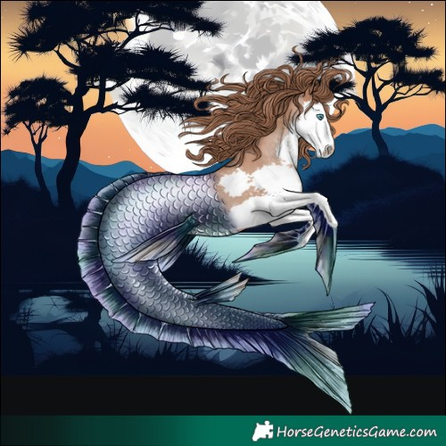 Horse Color:Black Pearl Splash