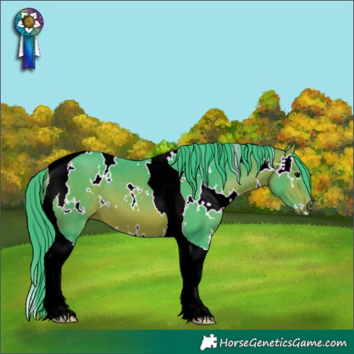 Horse Color:Watercolor White Spotted Bay Tobiano