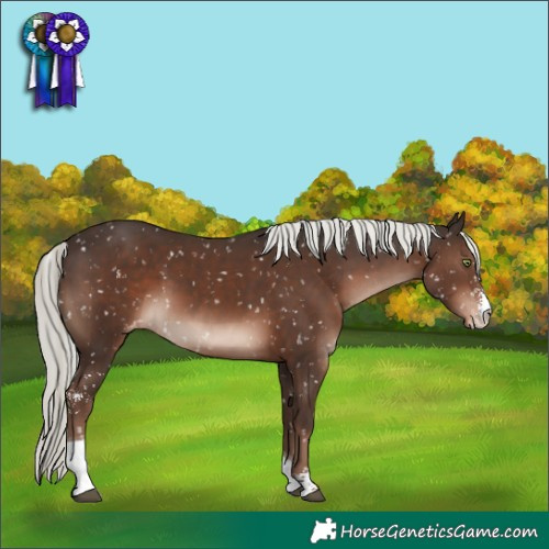 Horse Color:Liver Chestnut Mushroom Sabino Tobiano Snowflake Varnish Rabicano