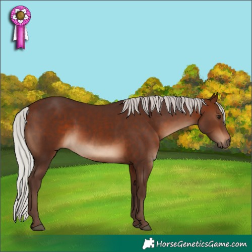 Horse Color:Silver Brown 