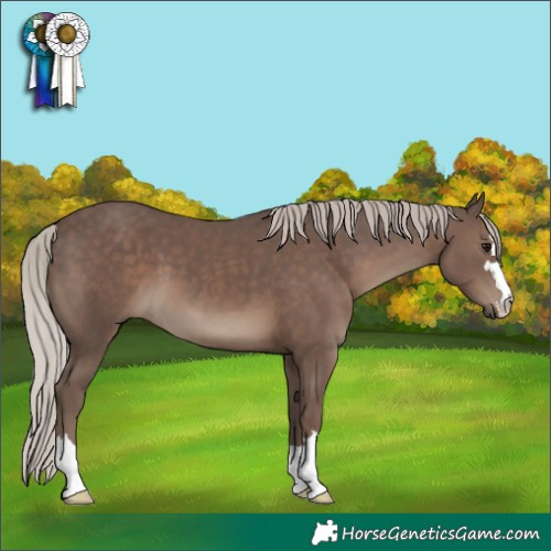 Horse Color:Silver Black 