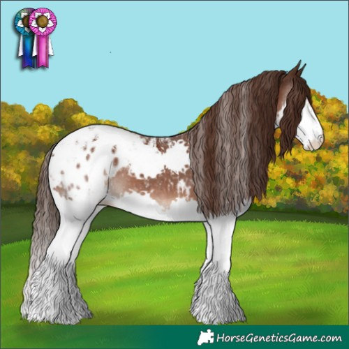 Horse Color:Powder White Liver Chestnut Splash Blanket