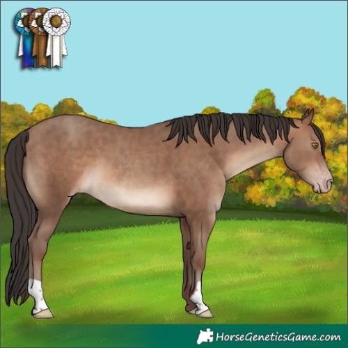 Horse Color:Sable Champagne 