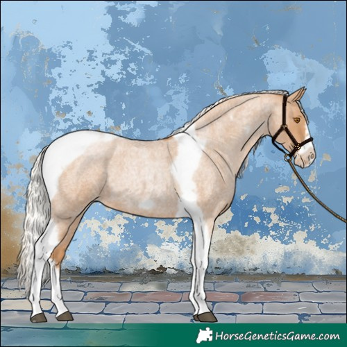 Horse Color:Silver Blue Roan Pearl Tobiano Frame