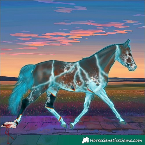 Horse Color:Thunderstruck White Spotted Brown