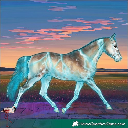 Horse Color:Thunderstruck White Spotted Bay Onyx Sabino Rabicano