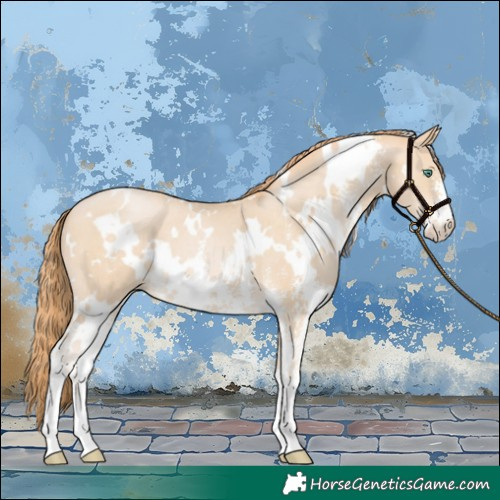 Horse Color:White Spotted Smoky Black Pearl Sabino