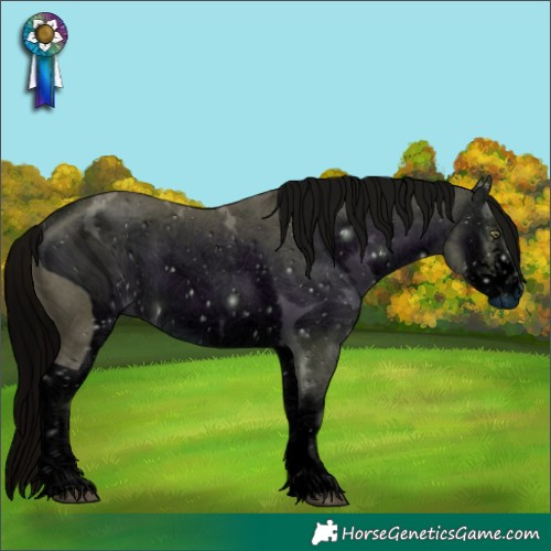Horse Color:ERROR: UNKNOWN ANOMALY