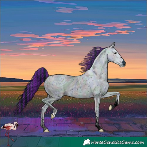 Horse Color:ERROR: UNKNOWN ANOMALY