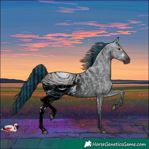 Horse Color:ERROR: UNKNOWN ANOMALY