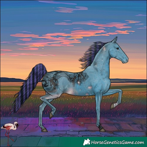Horse Color:ERROR: UNKNOWN ANOMALY