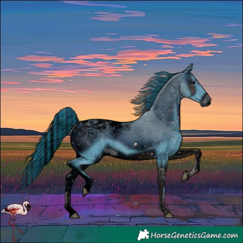 Horse Color:ERROR: UNKNOWN ANOMALY