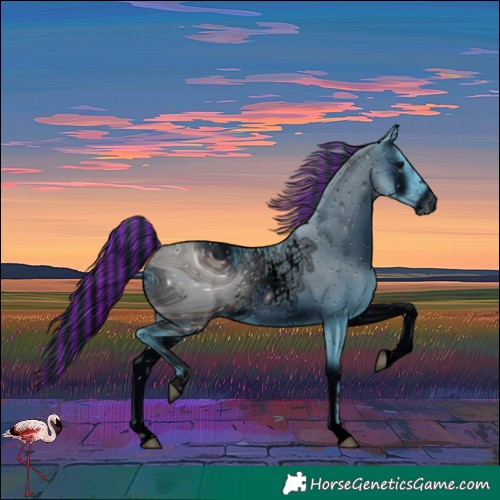 Horse Color:ERROR: UNKNOWN ANOMALY