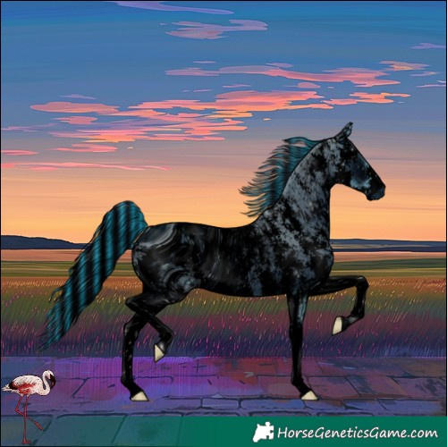 Horse Color:ERROR: UNKNOWN ANOMALY