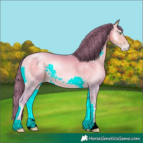 Horse Color:Watercolor Buckskin Pearl Onyx Rabicano