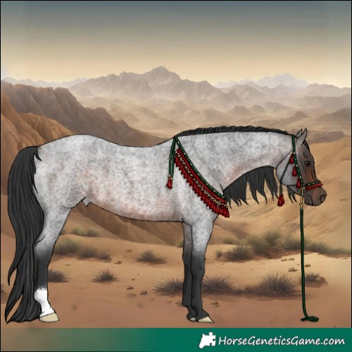 Horse Color:Bay Roan 