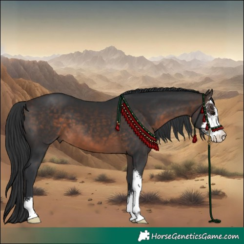 Horse Color:Brown Sabino