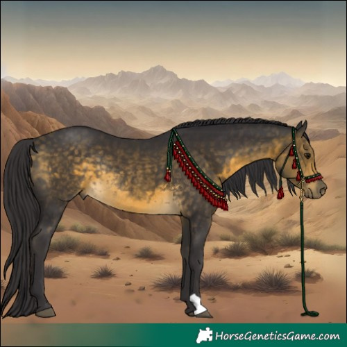 Horse Color:Buckskin Rabicano 