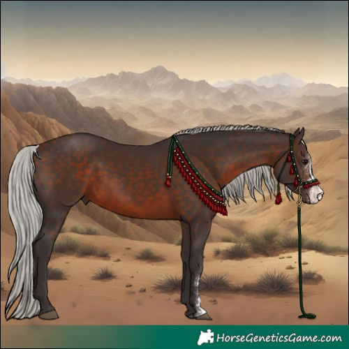 Horse Color:Silver Brown Sabino Rabicano