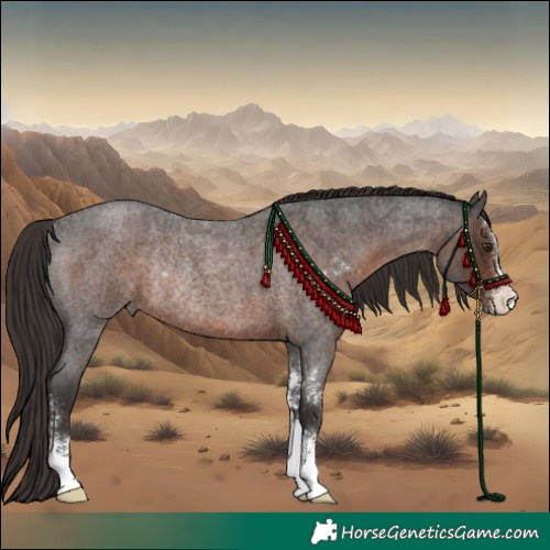 Horse Color:Liver Red Roan Sabino Rabicano 