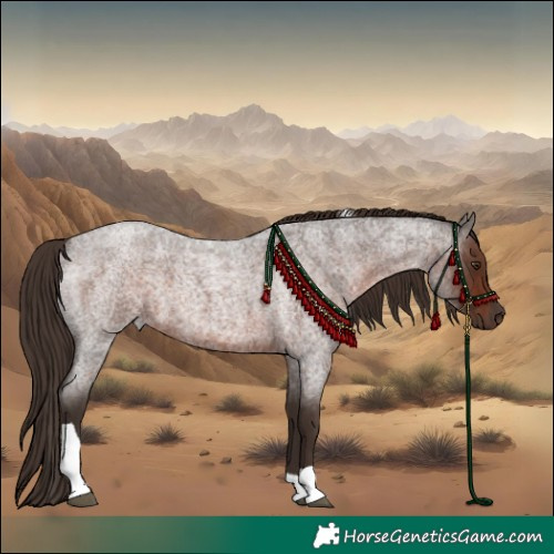 Horse Color:Liver Red Roan Tobiano 