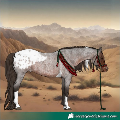 Horse Color:Liver Red Roan Tobiano Blanket