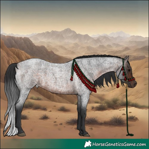 Horse Color:Bay Roan 