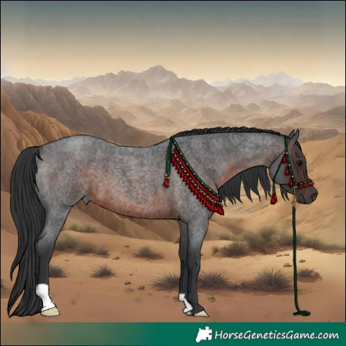 Horse Color:Brown Roan
