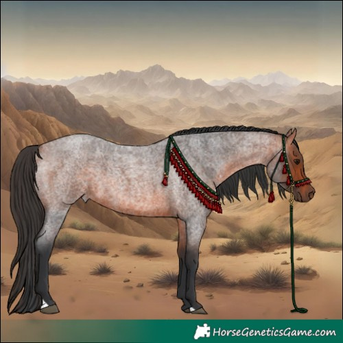 Horse Color:Bay Roan
