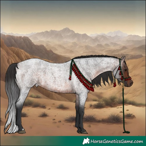 Horse Color:Brown Roan 