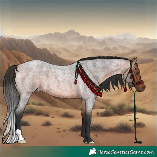 Horse Color:Bay Roan