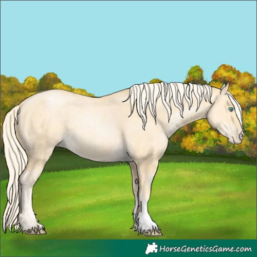 Horse Color:Palomino Pearl Dun Brindle 