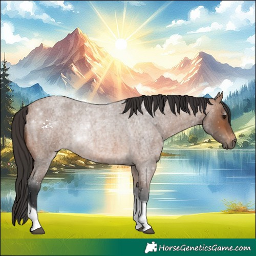 Horse Color:Bay Roan Tobiano
