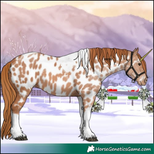 Horse Color:Chestnut Tobiano Near Leopard 