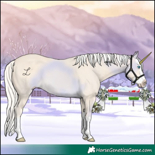 Horse Color:Cremello Splash 