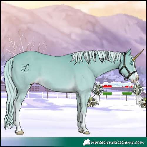 Horse Color:Cremello Splash 