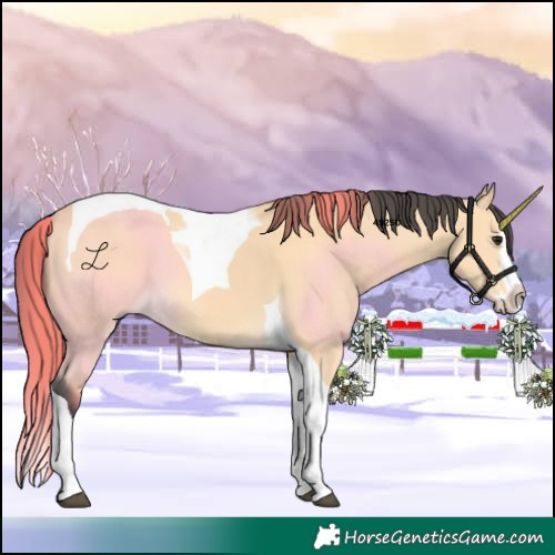 Horse Color:Buckskin Splash Tobiano