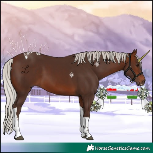 Horse Color:Silver Brown Tobiano