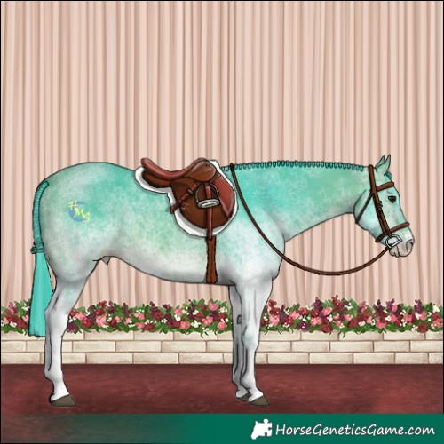 Horse Color:Watercolor White Spotted Bay