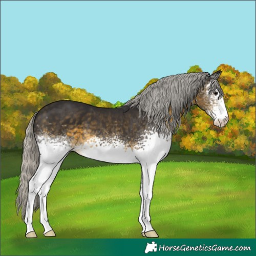 Horse Color:White Spotted Silver Buckskin 