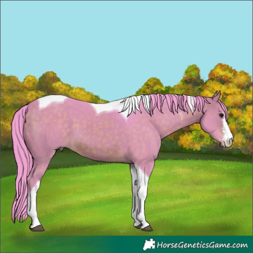 Horse Color:Watercolor White Spotted Brown Tobiano