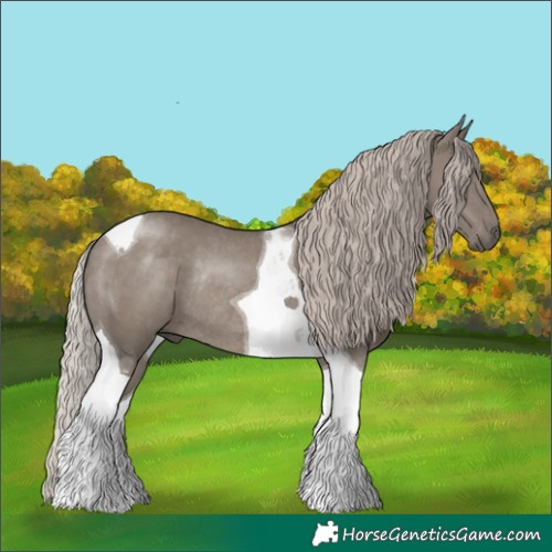 Horse Color:Silver Grullo Tobiano Rabicano