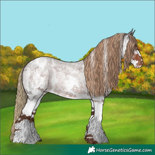 Horse Color:White Spotted Liver Red Roan Blanket Rabicano 