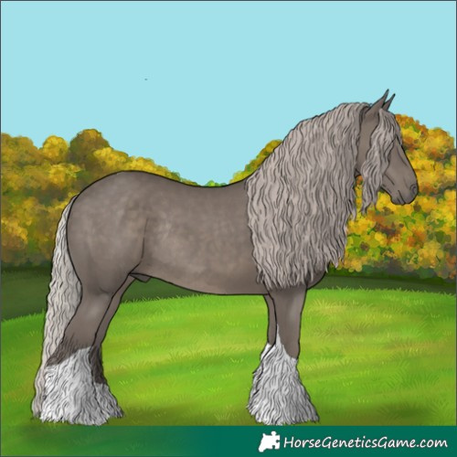 Horse Color:Silver Black Tobiano Rabicano