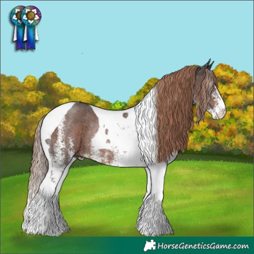 Horse Color:White Spotted Liver Chestnut Tobiano Rabicano